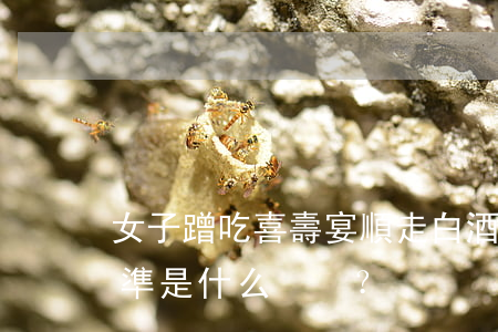 女子蹭吃喜壽宴順走白酒被拘，盜竊罪立案標準是什么？